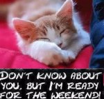 happy weekend1.jpg
