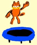 trampoline.JPG