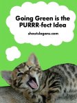 going green.jpg