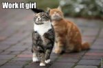 work it girl.jpg