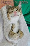 301342-Happy-Thursday-Cute-Cat.jpg 301342-Happy-Thursday-Cute-Cat.jpg