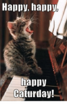 happy-happy-happy-caturday-5446629.png