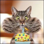 cat blowing out candle.jpg