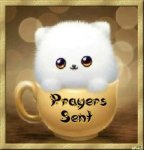 prayers sent.jpg