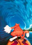 Surfing cat.jpg