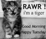 tuesday greeting.jpg