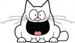 happy crazy cat.jpg