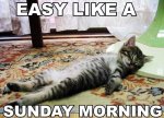easy sunday.jpg