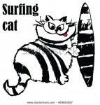 surfing cat1.jpg