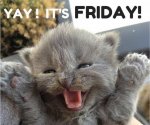 yay friday1.jpg