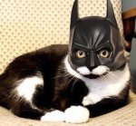 batman.JPG