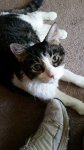 20171020_120538.jpg