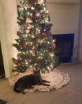 20171111_184929.jpg