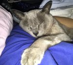 Girlie cuddle cropped.jpg