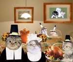 -thanksgiving-funny-thanksgiving-wishes.jpg