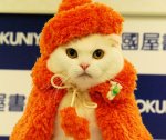 china in hat-coat.jpg