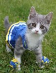 cheerleader.JPG