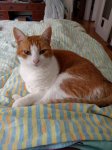 IMG_20171113_103131.jpg