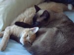 DSC05291.JPG