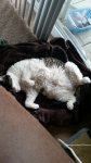 20171207_145643.jpg