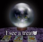 cat-crystal-ball-tarot-cute-300x298.jpg