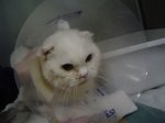 DSC04006.JPG
