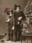xmas card front.jpg