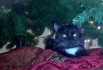 2011-12-19_20-48-30_98.jpg