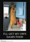 My Own Food.jpg