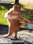Tango.jpg