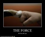 The Force.jpg