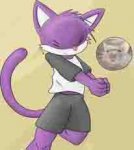 vole-ey ball 3 copy.jpg