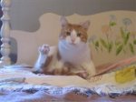 Alex_yoga_pose (WinCE).JPG