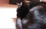 Ak Asleep_forweb.jpg