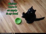 Empty bowl.jpg
