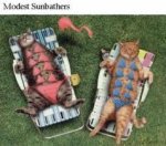 Sunbathers.jpg