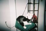 scouty-loves-bobo.jpg