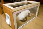 Linus Feeding Box.jpg