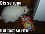 funny-pictures-cat-eats-dog-treats.jpg