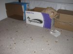 IMG_0068.JPG