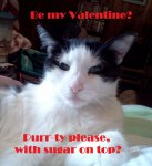 CassValentine.jpg