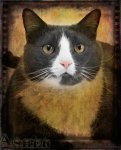 asher portrait copy.jpg