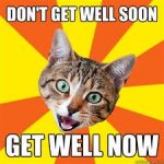 cat get well.jpg