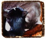brotherly love small.jpg