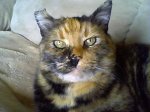 29-01-11_115.jpg