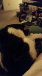 20171214_181143.jpg