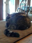 20171215_140539.jpg