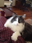 .facebook_1514056975616.jpg