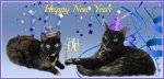 New-Year-2016-with-border-e1450705415686.jpg