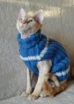 bluesweater.JPG